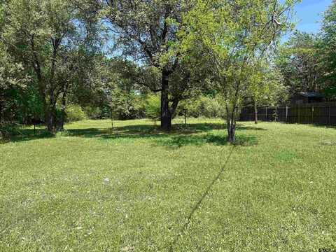 411 E Stadium Ln, Van, TX 75790