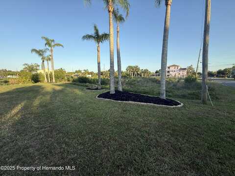 Fernleaf Drive, Hernando Beach, FL 34607