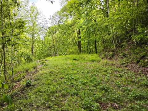 0 Highland Gap, Scaly Mountain, NC 28775