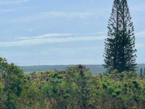 HEKAU ST, NAALEHU, HI 96772