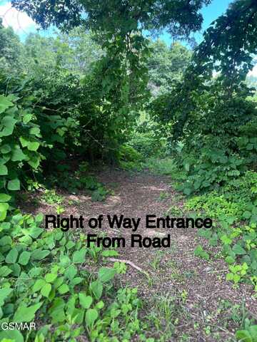 Tbd Friends Station Rd Road, New Market, TN 37820