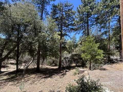 Pine Cove Rd., Idyllwild, CA 92549