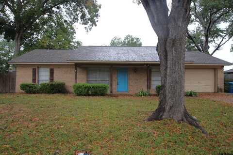 305 LAKEVIEW ST, Whitehouse, TX 75791