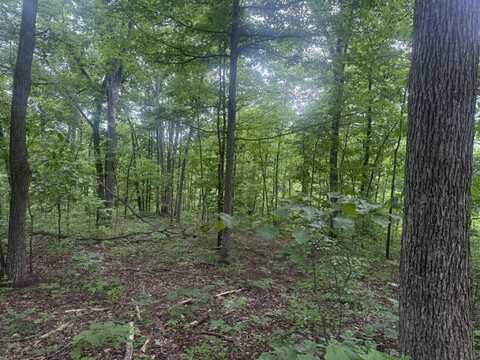 169 Greasy Ridge, Sandy Hook, KY 41171