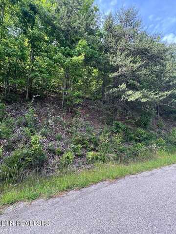 Lt 225 Clinch View Rd, New Tazewell, TN 37825