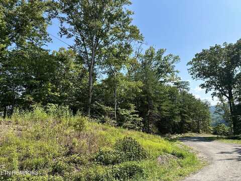 Lots 65 & 66 Grandpa's Ridge, Sharps Chapel, TN 37866