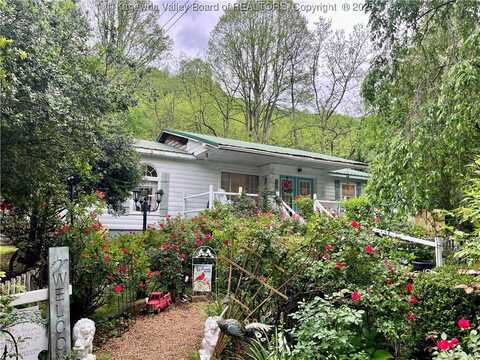 103 Chestnut Drive, Peytona, WV 25154