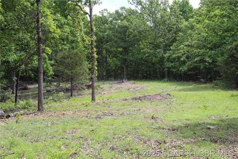 Whitetail Dream Lane, Montreal, MO 65591