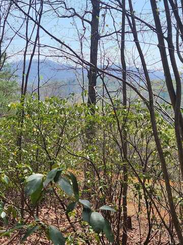 303 Harrison Creek Road, Amherst, VA 24521
