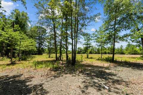 0 Henry Dr, Hemphill, TX 75948