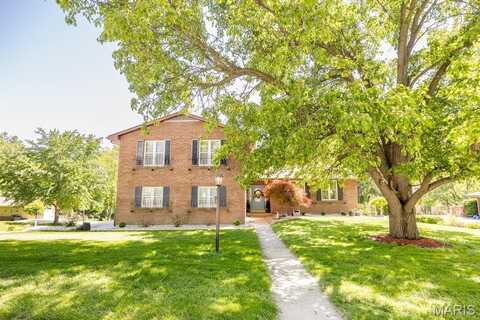 100 Paddock Road, Belleville, IL 62223