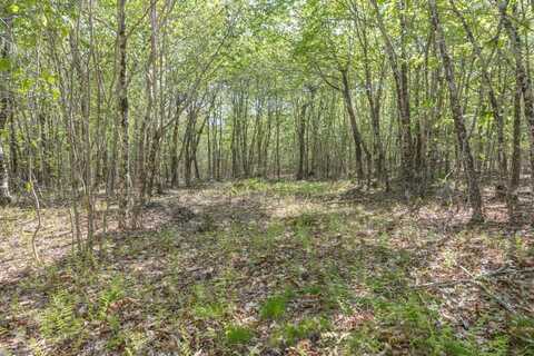 M6, L3 Beech Hill Pond Road, Dedham, ME 04429