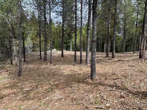 Lot 29 Sawtooth Loop, Cascade, ID 83611