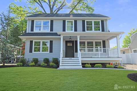 234 Rose Street, Metuchen, NJ 08840