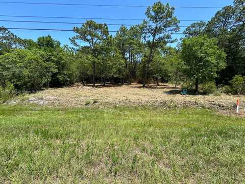 11287 S Suncoast BLVD, Other City - In The State Of Florida, FL 34446
