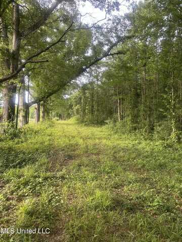 00 E Old Hwy 80, Morton, MS 39117