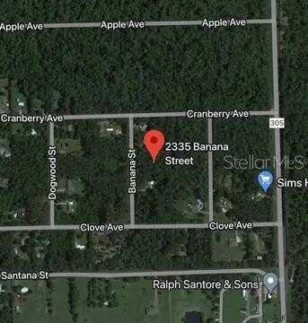 2335 BANANA STREET, BUNNELL, FL 32110
