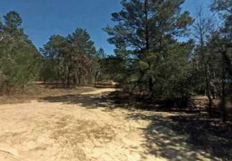 2907 HILLERY STREET, INVERNESS, FL 34452