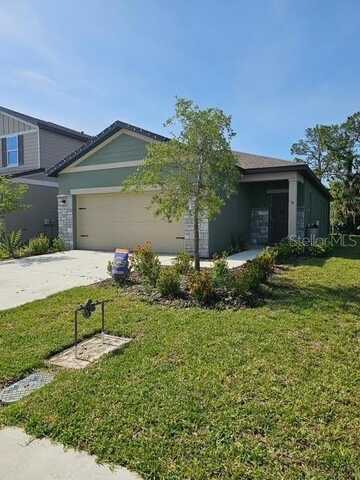 10607 LADYBUG COVE, PARRISH, FL 34219