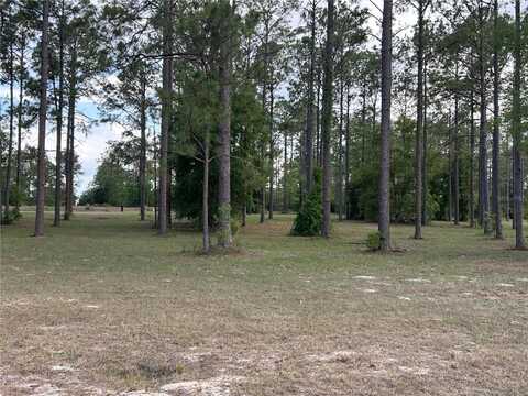 35135 PINEGATE TRAIL, EUSTIS, FL 32736