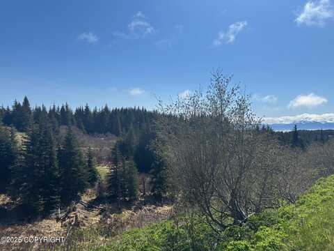 64370 Diamond Ridge Road, Homer, AK 99603