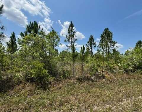 1015 CALLIANDRA DRIVE, INDIAN LAKE ESTATES, FL 33855