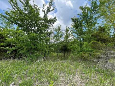 Posy Mountain DR, Garfield, AR 72732