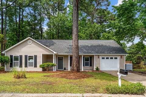 6805 Wyck Farm Way, Wilmington, NC 28405