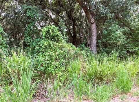 AVALON ROAD, WINTER GARDEN, FL 34787