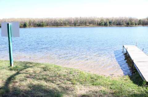 1364 Lakeview Drive, Mio, MI 48647