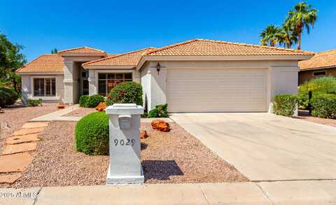9029 E NACOMA Drive, Sun Lakes, AZ 85248