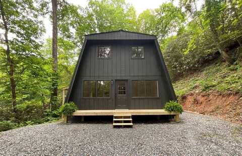 1136 Granny Squirrel Drive, ANDREWS, NC 28901