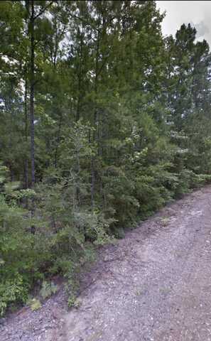 TBD TBD Sassafras Drive, Brookeland, TX 75931