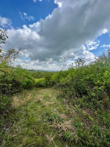 Basham Branch Rd., JUMPING BRANCH, WV 25951