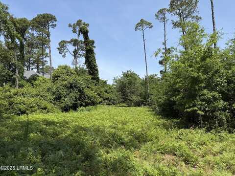 5 Caladium Court, Hilton Head Island, SC 29926