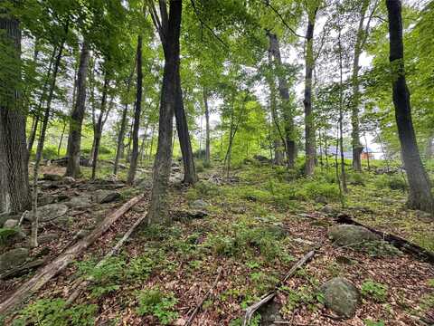 Route 292, Holmes, NY 12531