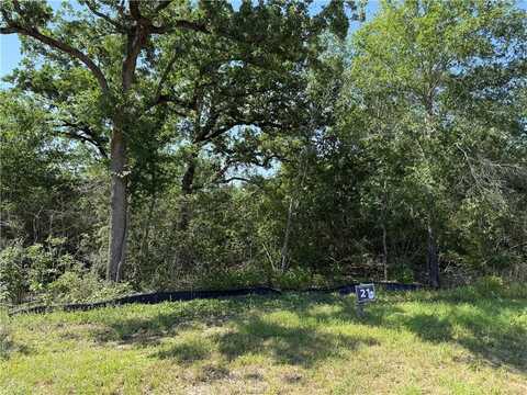 4914 William Mills Court, College Station, TX 77845