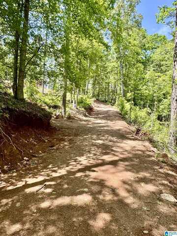 1.5 +/- Acres COUNTY ROAD 82, WEDOWEE, AL 36278