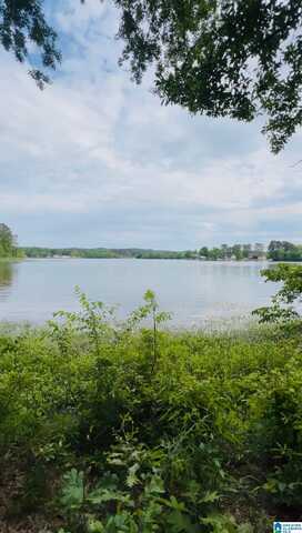 0 CEDAR SHORES DRIVE, SYLACAUGA, AL 35151