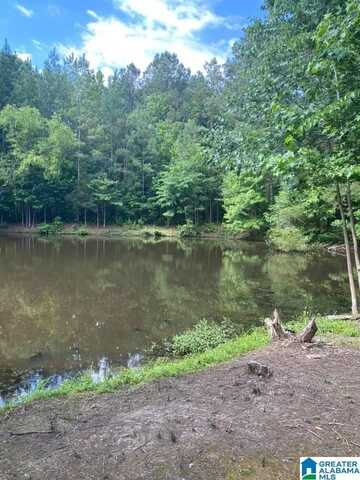 EVERGREEN ROAD, SPRINGVILLE, AL 35146