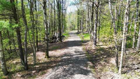 Tracy Road, Coventryville, NY 13730