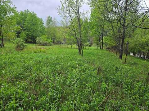 Mead Hollow Road, Bolivar, NY 14754
