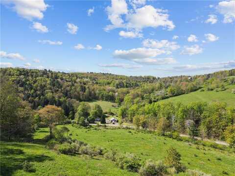 725 S Hill Road, Spencer, NY 14883