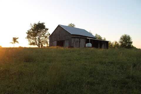 TBD Elizaville Rd, Ewing, KY 41039