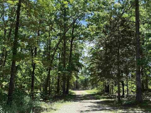 675 Browns Creek Road, Ravenden, AR 72459