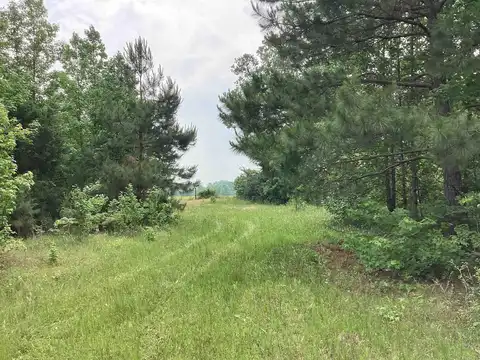 1006 Hempstead 24, Blevins, AR 71825
