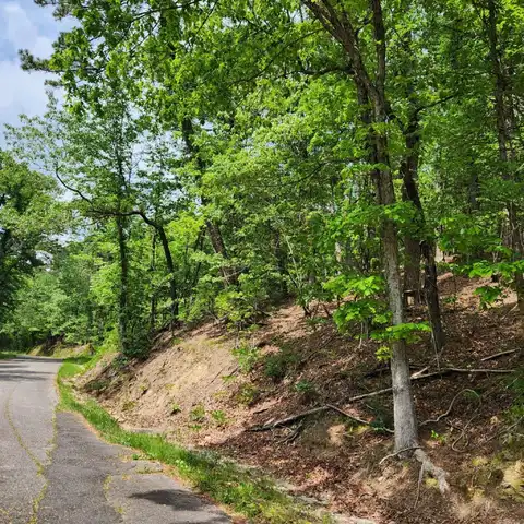 Union Street, Hot Springs, AR 71901