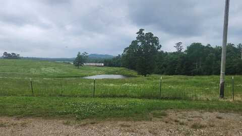 TBD Murphy Rd, Norman, AR 71960
