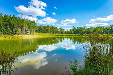 Waterwheel Way, Jasper, TN 37347