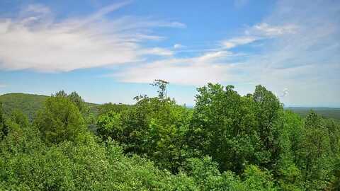 0 Briley Road, Spring City, TN 37381